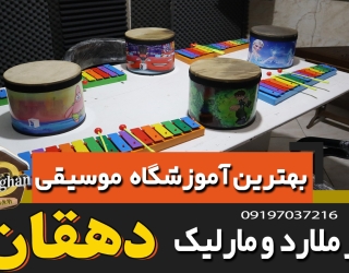 بهترین آموزشگاه موسیقی در ملارد ومارلیک دهقان 25