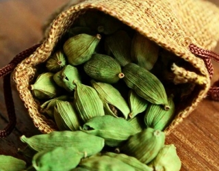 کار در منزل بسته بندی هل