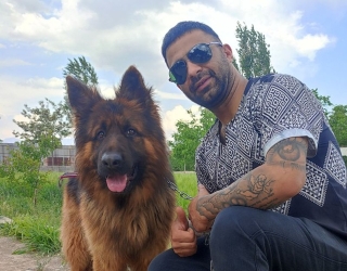 سگ شیانلو سگ نگهبان شپرد شولاین 