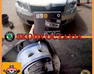 ایس کودا 