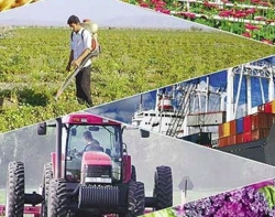 سم فروشی تبریز