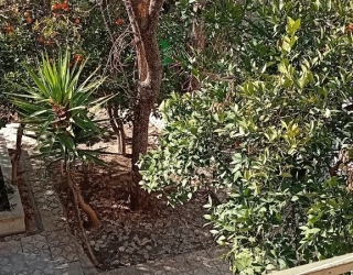 photo_5974265072148220842_y