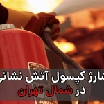 charging-north-tehran-fire-brigade-capsule-2