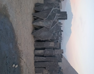 1000065259