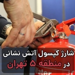شارژ کپسول آتش نشانی در منطقه 5