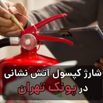 شارژ کپسول آتش نشانی پونک