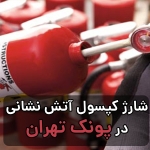 شارژ کپسول آتش نشانی در پونک