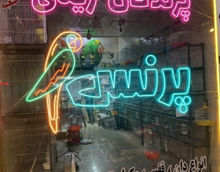 اجرای نئون فلکسی ال ای دی و تابلو چنلیوم زنجان