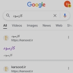 1000063595