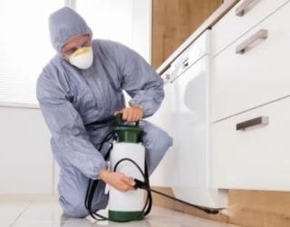 شماره تلفن شرکت سمپاشی در ورامین | سمپاشی ساس در ورامین ،،، پیشوا ،،، قرچک ،،، پاکدشت | سوسک . موش 