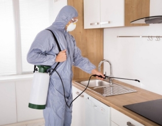 فردیس | بهترین شرکت سم پاشی ساس در سرآسیاب، فردیس،اندیشه،مارلیک،ملارد،صفادشت | تلفن سمپاشی حشرات 