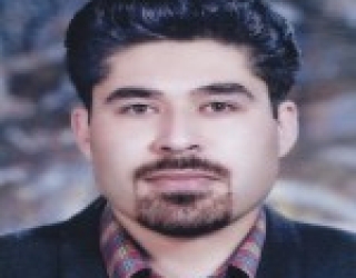وکالت دکترامین امینی زارع ،تجارت ومهاجرت