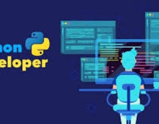 مهندسی حرفه ای پایتون Python Developer (2 دوره) 