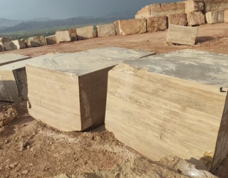 1000005249