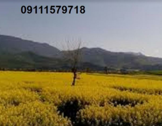 فروش زنجیره مرغداری کامل 