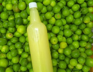 تولید آبلیموی خالص و طبیعی و آبغوره 