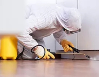 سمپاشی ساس سوسک ریز کابینتی و درشت موش کنه مایت شپش شرکت سمپاشی در مهرشهر کیانمهر فرودگاه پیام کرج