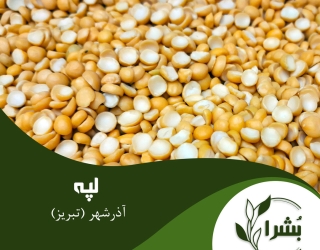 خواربار اصیل ایرانی بُشرا