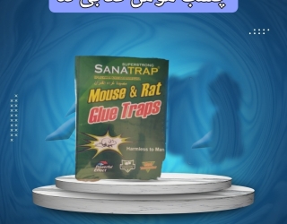 چسب موش کتابی ثنا