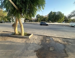 IMG-20250819-WA0048