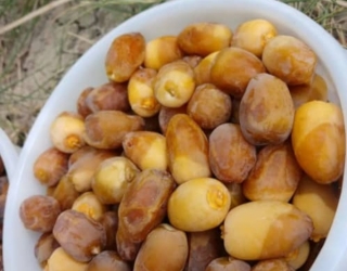 فروش ویژه مواد غذایی