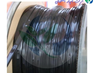 نوارتیپ پلاک‌دار ممتد 