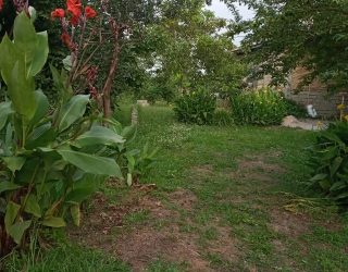 زمین و خانه شمال
