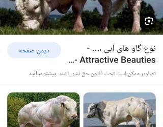Screenshot_۲۰۲۳۰۹۰۷-۱۸۰۰۰۶_Google
