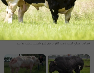 Screenshot_۲۰۲۳۰۹۰۷-۱۸۰۴۲۳_Google