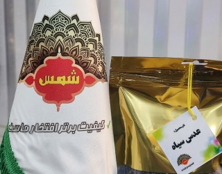 عدس سیاه
