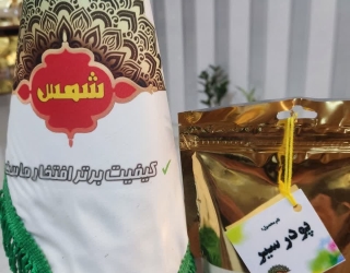 بازرگانی شمس