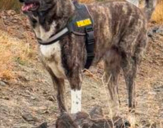 photo_2025-11-08_00-17-34