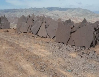 IMG_20250911_110341_025