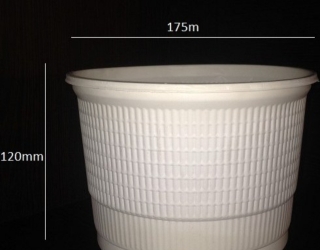 IMG_۲۰۲۵۱۰۱۲_۰۸۳۳۰۴