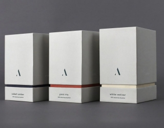 301433c214143763a25c5a056df46533