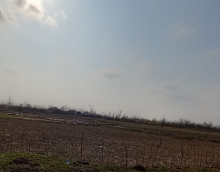 فروش زمین 600 متری مسکونی در گیلان