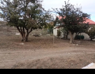 Screenshot_۲۰۲۵۱۱۱۴-۱۹۵۱۲۲_Divar