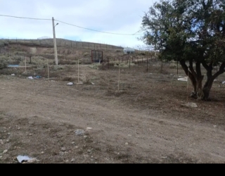 Screenshot_۲۰۲۵۱۱۱۴-۱۹۵۱۳۰_Divar