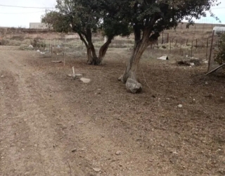 Screenshot_۲۰۲۵۱۱۱۴-۱۹۵۱۳۶_Divar