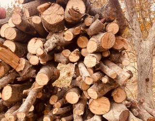 خرید هیزم عمده