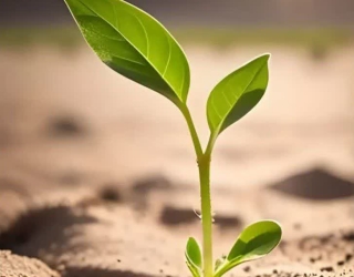 تنظیم موتور وcngمجید خلیلیان