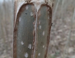 Screenshot_۲۰۲۴۱۰۲۳_۰۱۴۸۴۴_Instagram