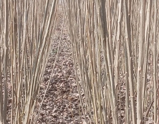 Screenshot_۲۰۲۴۱۰۲۹_۱۶۳۰۴۹_Instagram