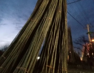 Screenshot_۲۰۲۴۱۰۲۹_۱۶۳۲۳۷_Instagram