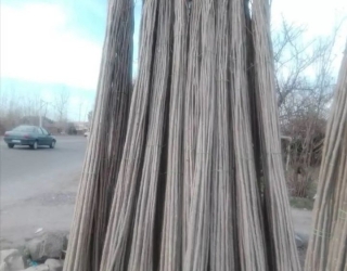 Screenshot_۲۰۲۴۱۰۲۹_۱۶۳۴۱۶_Instagram