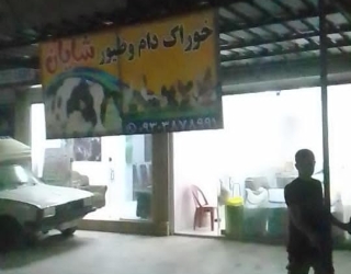 IMG_20251118_224804_057