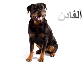 d3d465c5-8e8e-411c-b1f8-d87dd60018b1cover