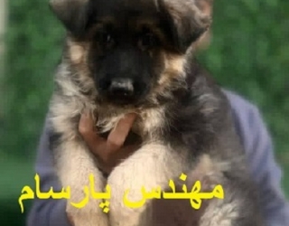 IMG_20251101_221044_903