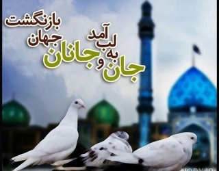 کاردر منزل عالی