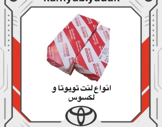 photo_2_2025-11-19_22-58-31